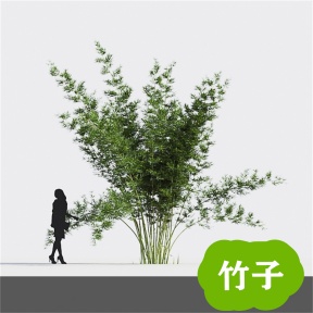 竹子 竹 青竹 毛竹 竹林  竹子3D免费模型 植物