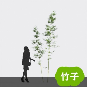 竹子 竹 青竹 毛竹 竹林  竹子3D免费模型 植物