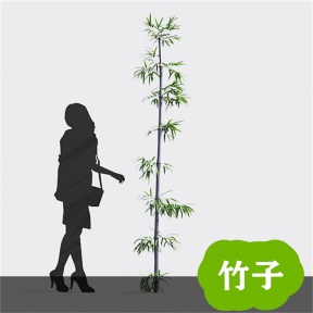 竹子 竹 青竹 毛竹 竹林  竹子3D免费模型 植物