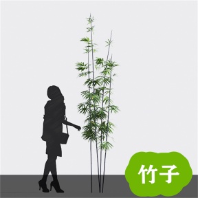 竹子 竹 青竹 毛竹 竹林  竹子3D免费模型 植物