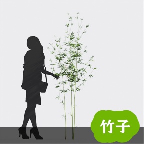 竹子 竹 青竹 毛竹 竹林  竹子3D免费模型 植物