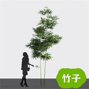 竹子 竹 青竹 毛竹 竹林  竹子3D免费模型 植物